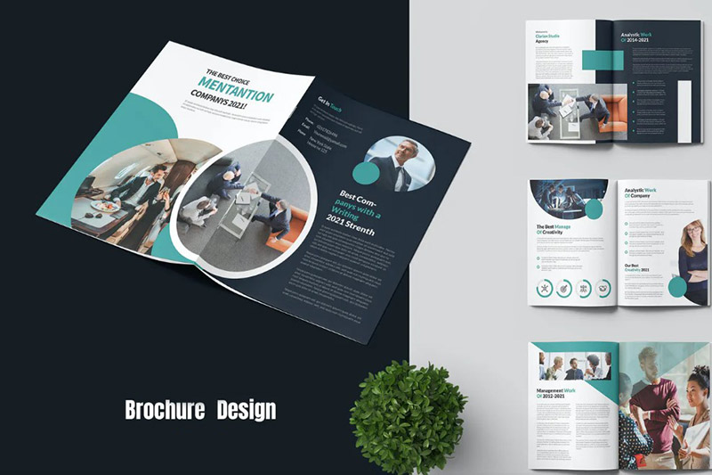 Brochure Design